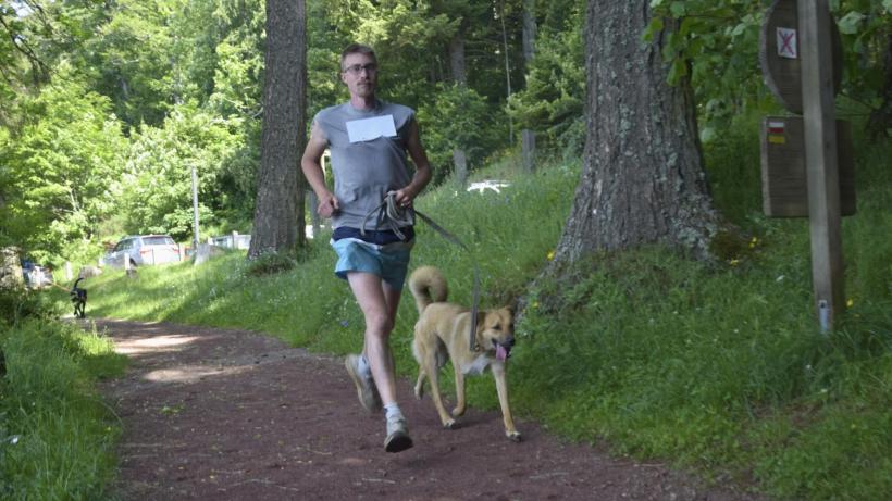 Heureux comme un chien dans l'eau