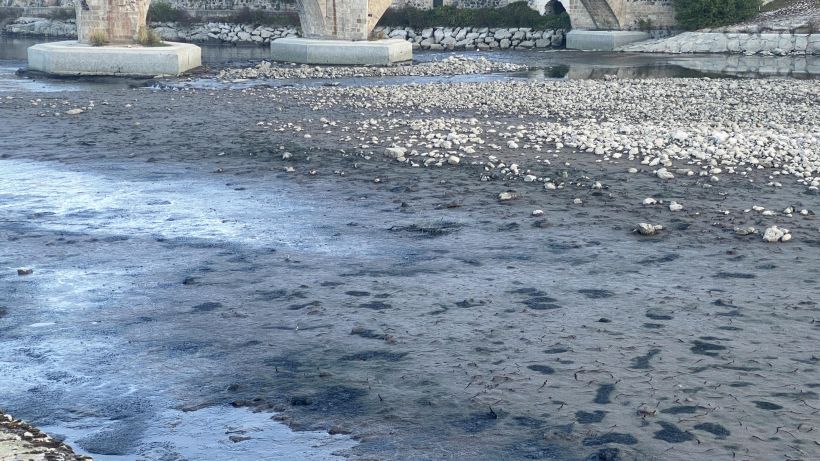 C'est la danse des canards aux pieds du Vieux pont de Brives-Charensac. 