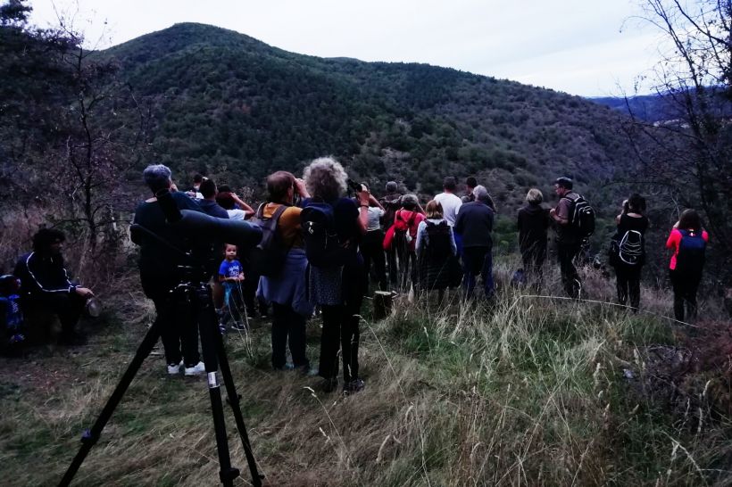 Si les cervidés sont restés cachés, ils ont empli la forêt de leur voix gutturales. 
