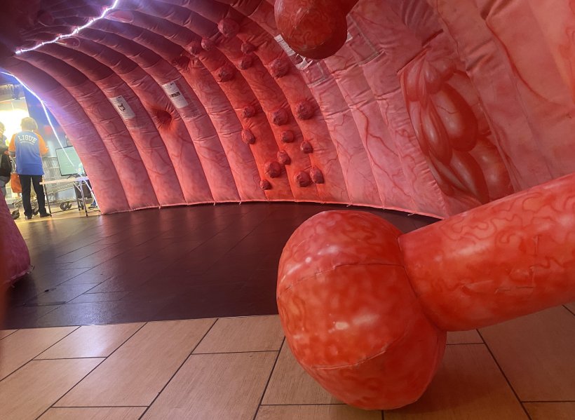 Polypes, cellules cancéreuses, ulcères...tout a été reproduit dans la structure exposée.