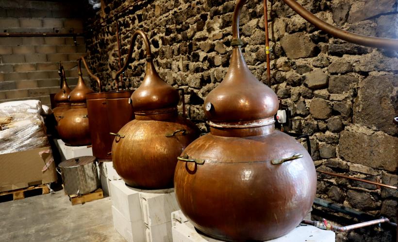 Les alambics de la distillerie vont chercher le cœur de l'alcool.