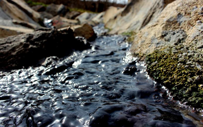 Le lagunage de Pralhac durant le pic de la pollution organique. 