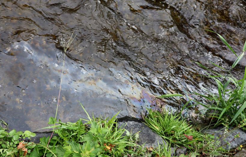 L'eau du Dolaizon, visiblement victime d'une pollution aquatique, au Puy. 