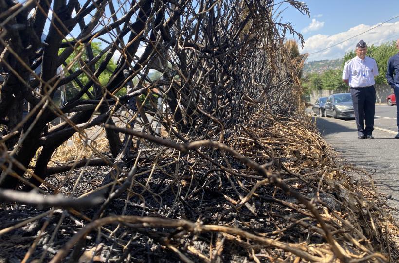 Sur l'avenue d'Ours-Mons, une voiture a été incendiée, ravageant la haie à proximité. 