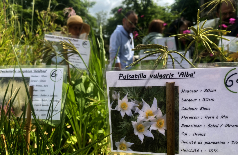 Les noms latin des plantes qui ont attirés l'attention des visiteurs