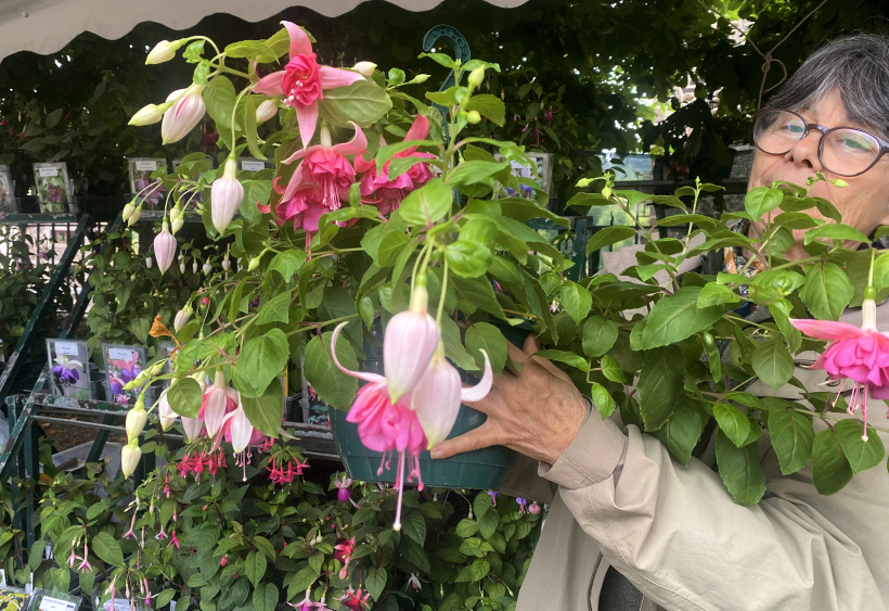 Elisabeth Barrier, collectionneuse de fushia