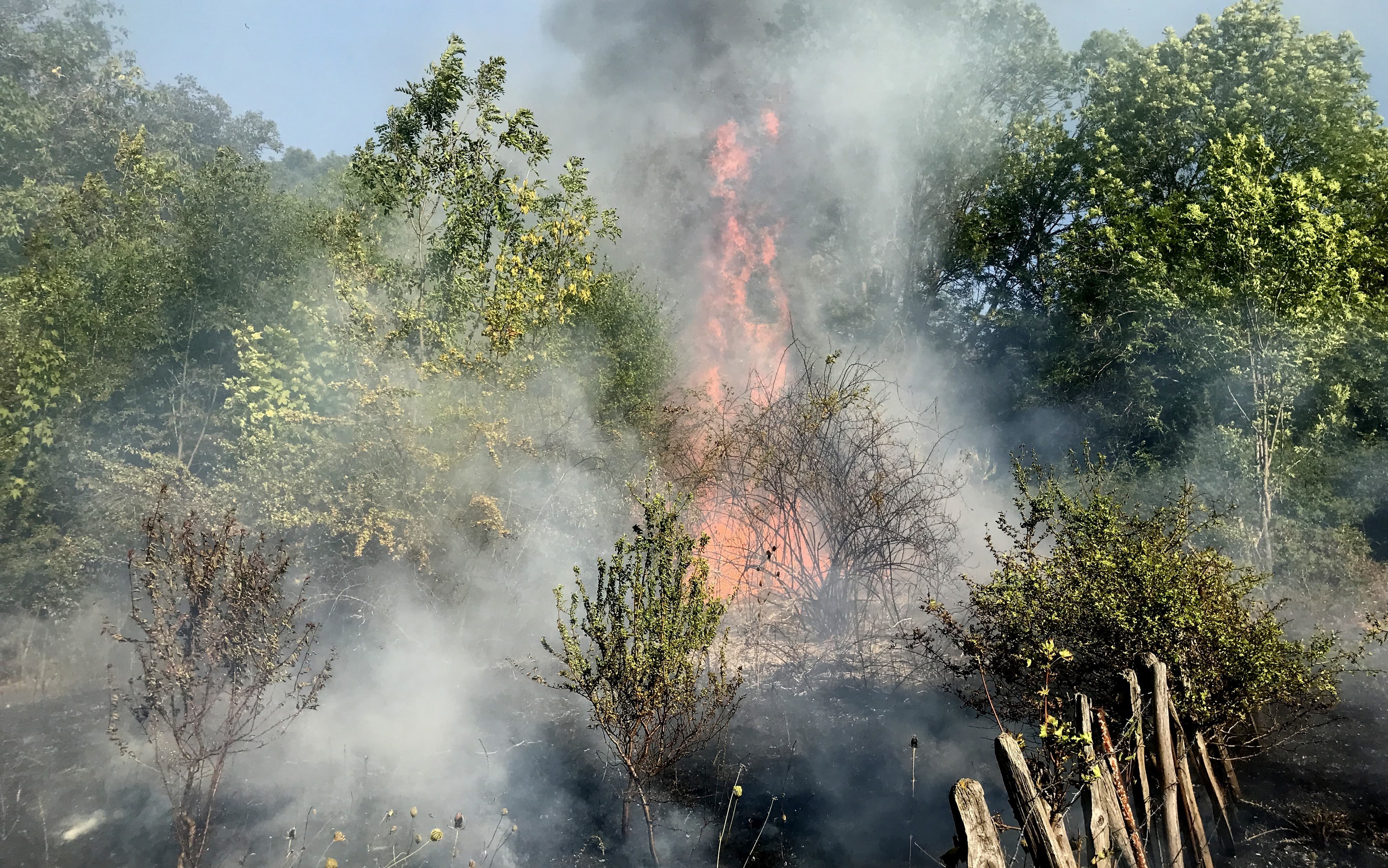 Roche-en-Régnier : un feu de camp oublié embrase l’humus au sommet